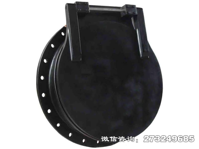 广宗pgz铸铁拍门