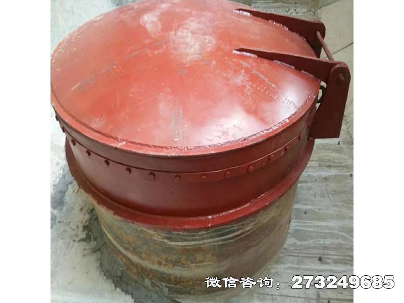 潢川县水渠逆止阀铸铁拍门